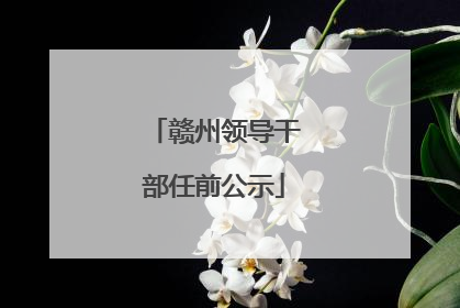 赣州领导干部任前公示