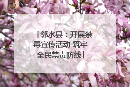 邻水县：开展禁毒宣传活动 筑牢全民禁毒防线