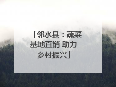 邻水县：蔬菜基地直销 助力乡村振兴
