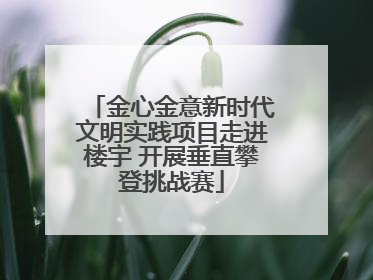 金心金意新时代文明实践项目走进楼宇 开展垂直攀登挑战赛