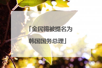 金民锡被提名为韩国国务总理