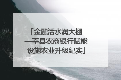 金融活水润大棚——莘县农商银行赋能设施农业升级纪实