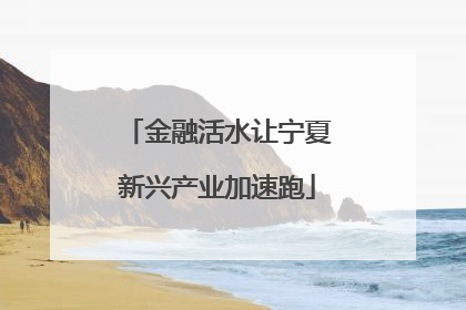金融活水让宁夏新兴产业加速跑