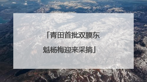 青田首批双膜东魁杨梅迎来采摘