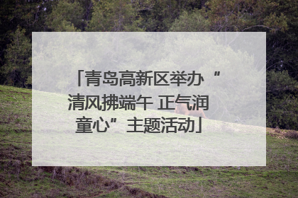 青岛高新区举办“清风拂端午 正气润童心”主题活动