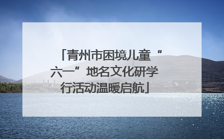 青州市困境儿童“六一”地名文化研学行活动温暖启航