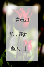 青春启航，逐梦蓝天！