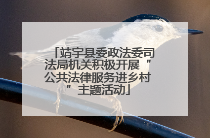 靖宇县委政法委司法局机关积极开展“公共法律服务进乡村”主题活动