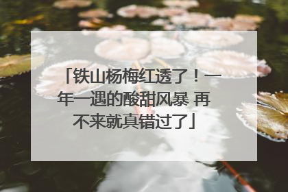 铁山杨梅红透了！一年一遇的酸甜风暴 再不来就真错过了