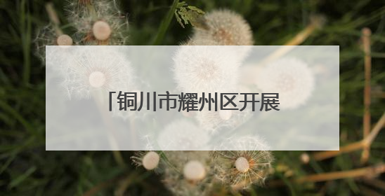 铜川市耀州区开展“百市千县”中医药文化惠民活动