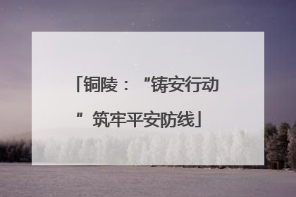 铜陵：“铸安行动”筑牢平安防线