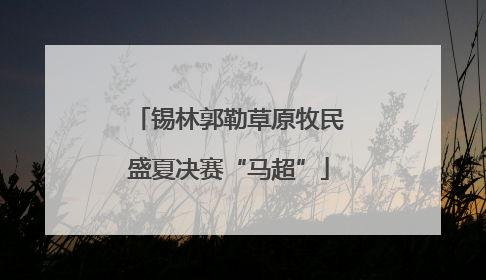 锡林郭勒草原牧民盛夏决赛“马超”