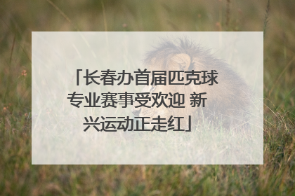 长春办首届匹克球专业赛事受欢迎 新兴运动正走红