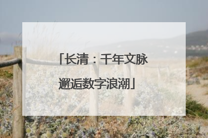 长清：千年文脉邂逅数字浪潮