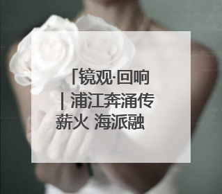 镜观·回响｜浦江奔涌传薪火 海派融新纳百川