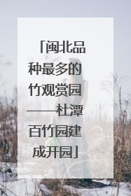 闽北品种最多的竹观赏园——杜潭百竹园建成开园