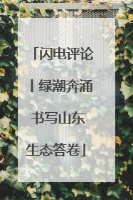闪电评论丨绿潮奔涌 书写山东生态答卷