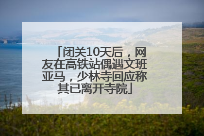 闭关10天后，网友在高铁站偶遇文班亚马，少林寺回应称其已离开寺院