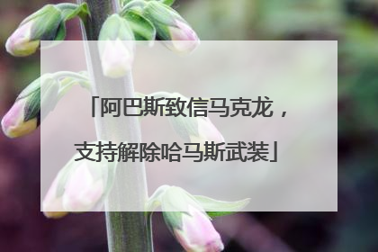 阿巴斯致信马克龙，支持解除哈马斯武装