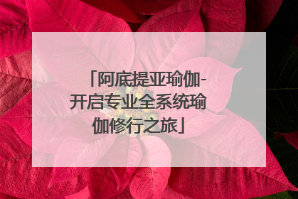 阿底提亚瑜伽-开启专业全系统瑜伽修行之旅