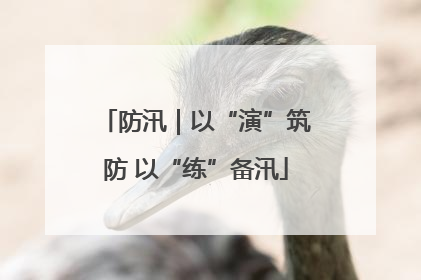 防汛｜以“演”筑防 以“练”备汛