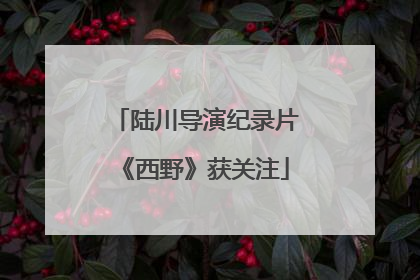 陆川导演纪录片《西野》获关注
