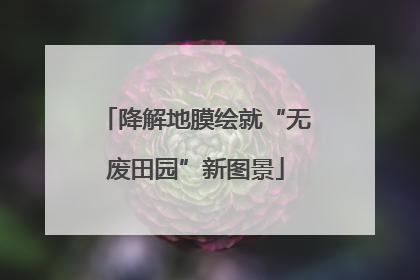 降解地膜绘就“无废田园”新图景