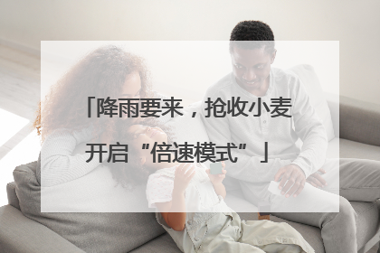 降雨要来，抢收小麦开启“倍速模式”
