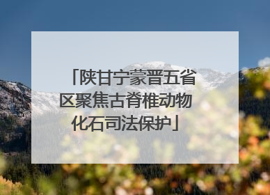 陕甘宁蒙晋五省区聚焦古脊椎动物化石司法保护
