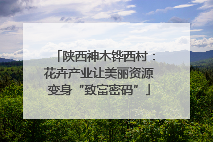 陕西神木铧西村：花卉产业让美丽资源变身“致富密码”