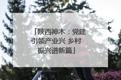 陕西神木：党建引领产业兴 乡村振兴谱新篇