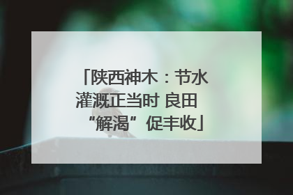 陕西神木：节水灌溉正当时 良田“解渴”促丰收