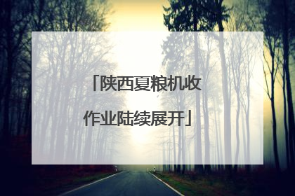 陕西夏粮机收作业陆续展开