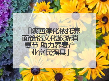 陕西淳化依托荞面饸饹文化旅游消费节 助力荞麦产业富民强县