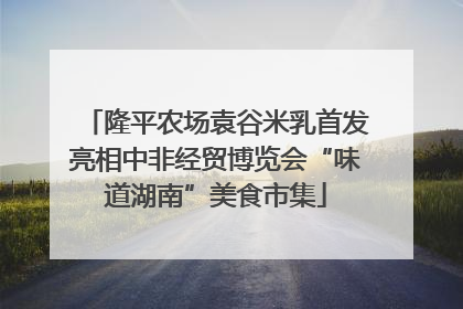 隆平农场袁谷米乳首发亮相中非经贸博览会“味道湖南”美食市集