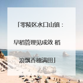 零陵区水口山镇：早稻管理见成效 稻浪飘香穗满田