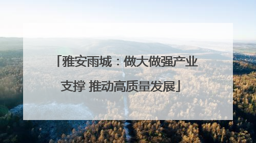 雅安雨城：做大做强产业支撑 推动高质量发展