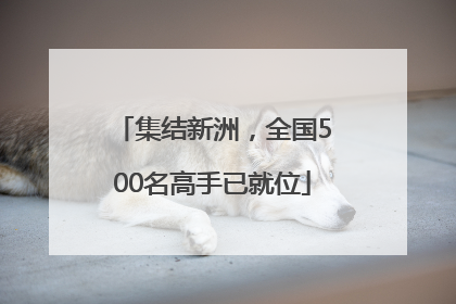 集结新洲，全国500名高手已就位
