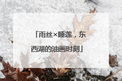 雨丝×睡莲，东西湖的油画时刻
