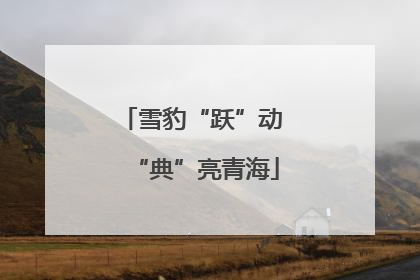 雪豹“跃”动 “典”亮青海