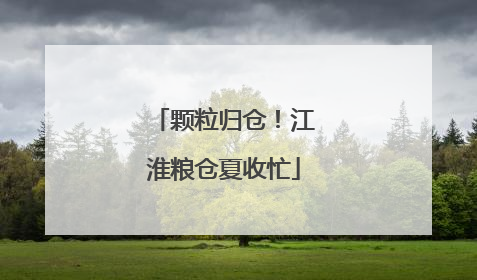 颗粒归仓！江淮粮仓夏收忙