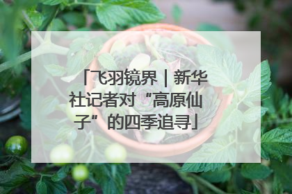 飞羽镜界｜新华社记者对“高原仙子”的四季追寻