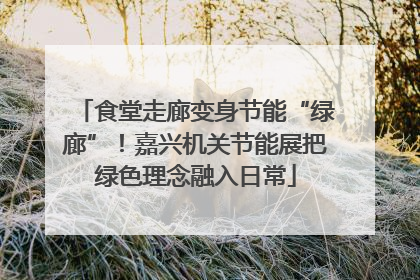 食堂走廊变身节能“绿廊”！嘉兴机关节能展把绿色理念融入日常