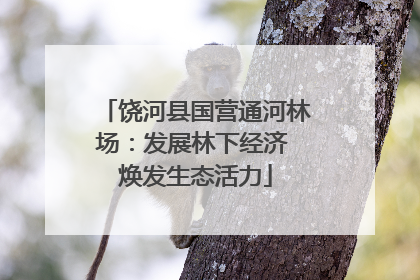 饶河县国营通河林场：发展林下经济 焕发生态活力