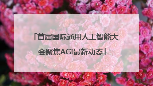 首届国际通用人工智能大会聚焦AGI最新动态