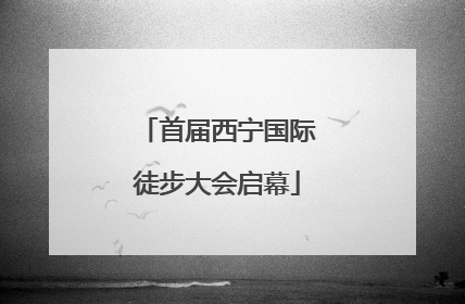 首届西宁国际徒步大会启幕