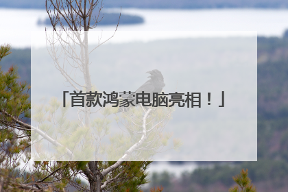 首款鸿蒙电脑亮相！
