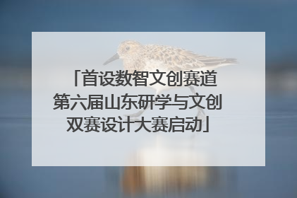 首设数智文创赛道 第六届山东研学与文创双赛设计大赛启动