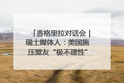 香格里拉对话会｜瑞士媒体人：美国施压盟友“极不理性” 欧洲国家无意与中国“脱钩断链”