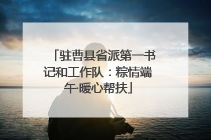 驻曹县省派第一书记和工作队：粽情端午·暖心帮扶